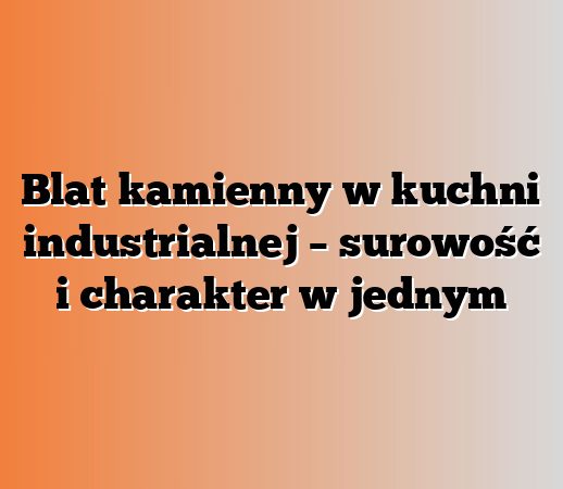 Blat kamienny w kuchni industrialnej – surowość i charakter w jednym